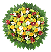 Coroa