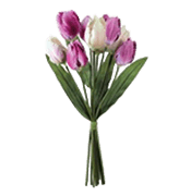 Flor