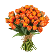 Flor