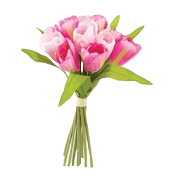 Flor