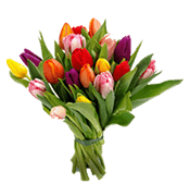 Flor