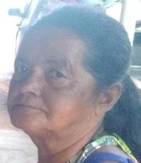 APARECIDA MARIA VILELA RIBEIRO GUEDES
