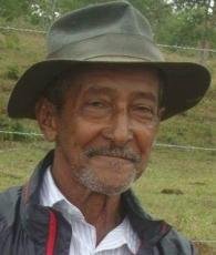 ARACI RIBEIRO DA SILVA